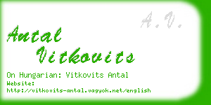 antal vitkovits business card